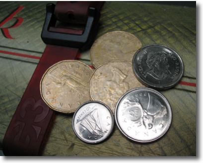 Coins found on Mt Strachan